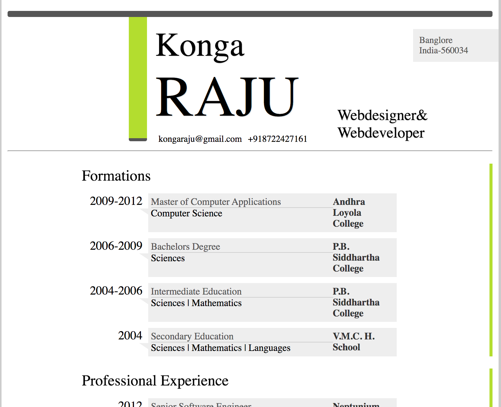 resume template screenshot